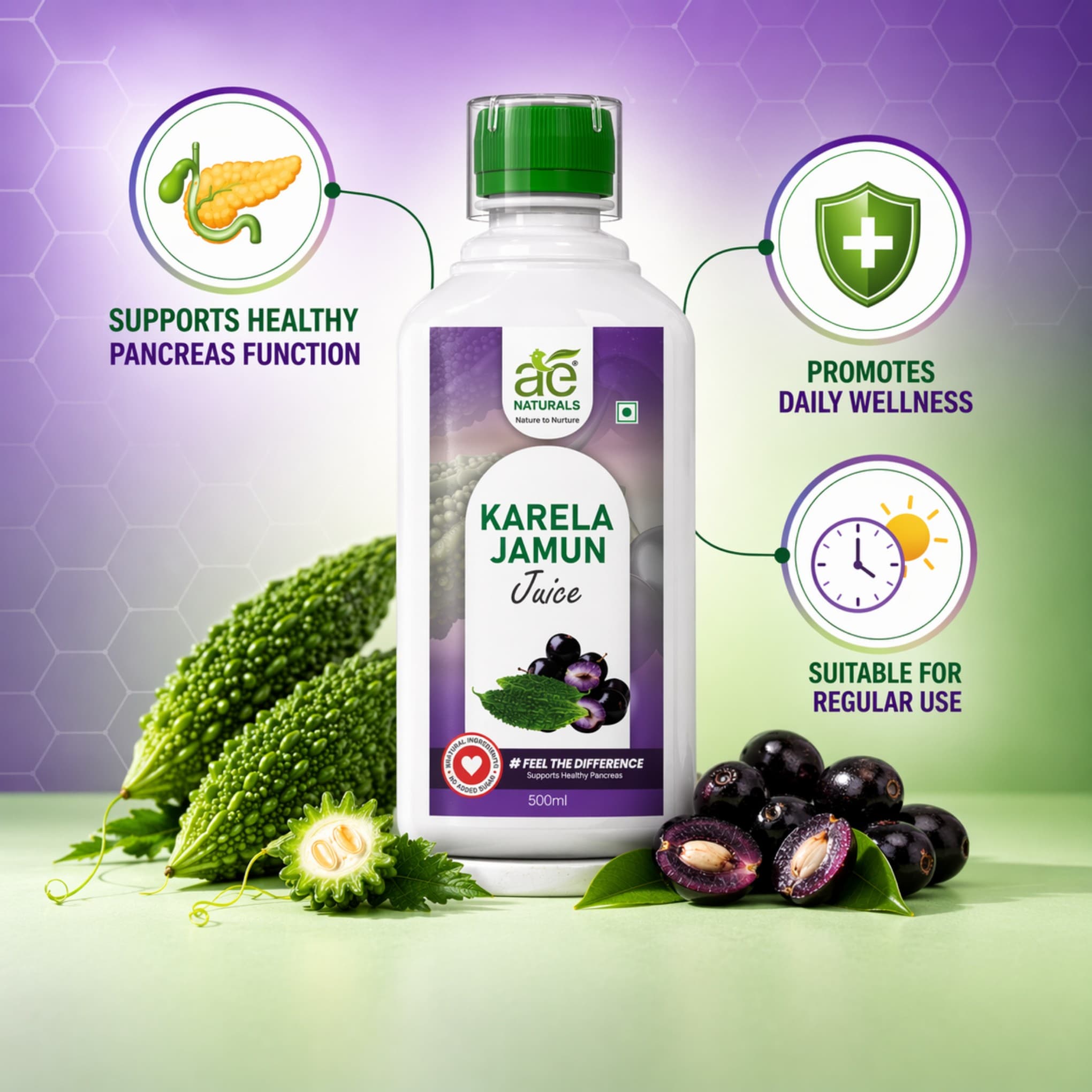 AE Naturals Karela Jamun Juice 500ml thumbnail 3