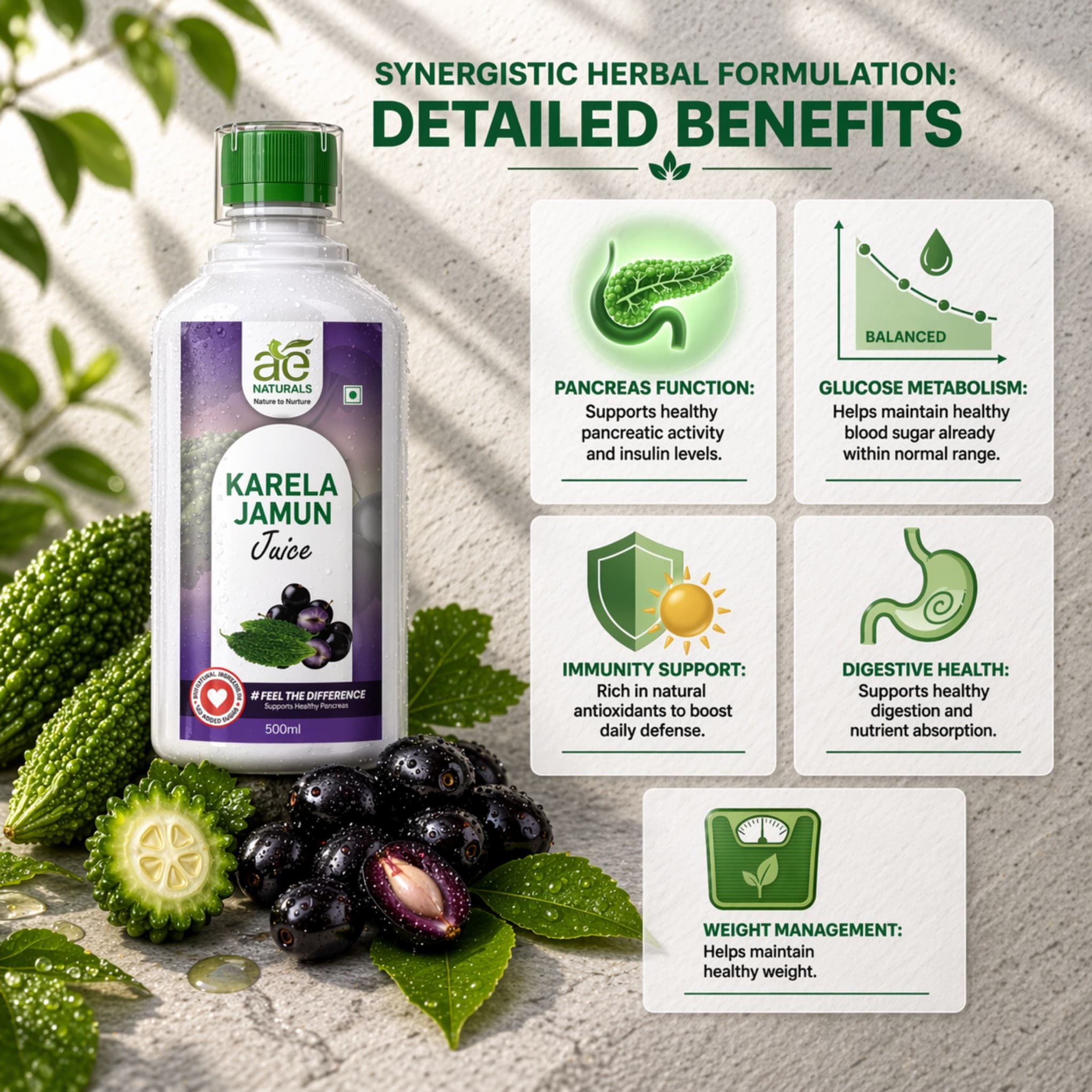 AE Naturals Karela Jamun Juice 500ml thumbnail 6