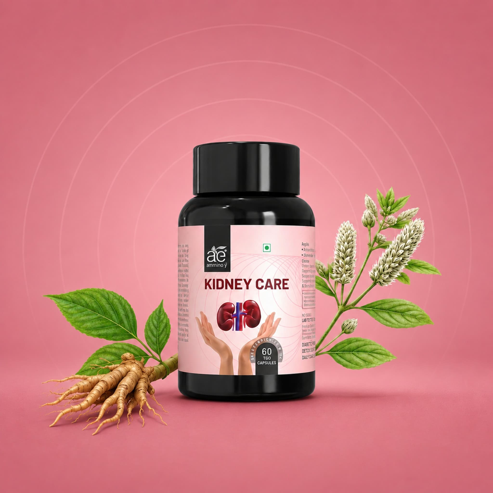 Kidney Care Capsules