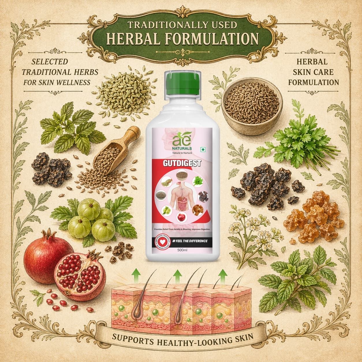 AE Naturals Gutdigest Herbal Juice 500ml thumbnail 4